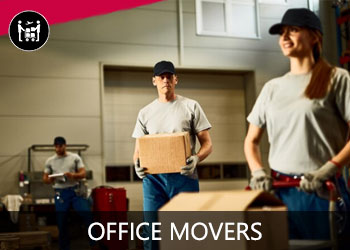 Skyline Movers and Packing Services - Office Movers